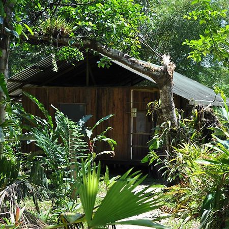 Hakuna Matata Amazon Lodge Archidona Kültér fotó