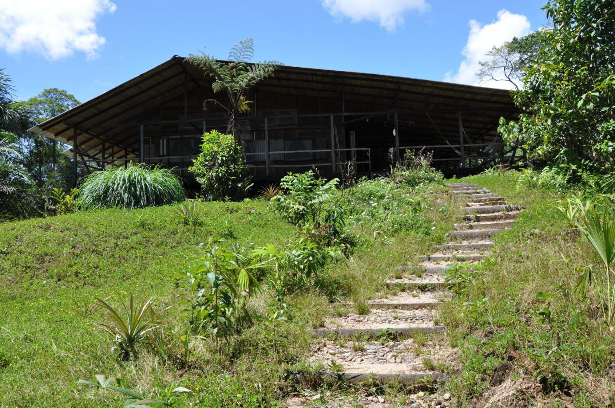 Hakuna Matata Amazon Lodge Archidona Kültér fotó
