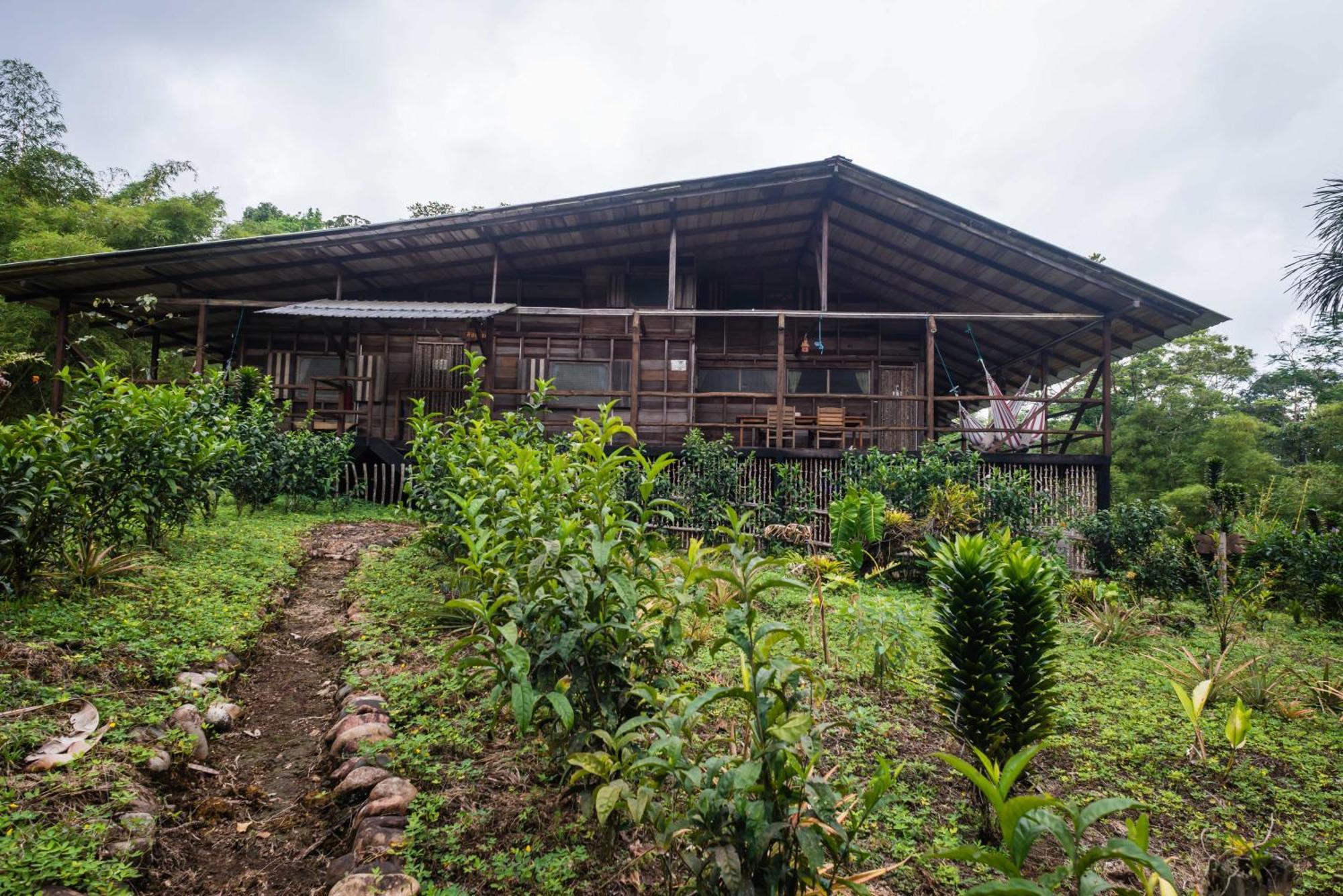 Hakuna Matata Amazon Lodge Archidona Szoba fotó
