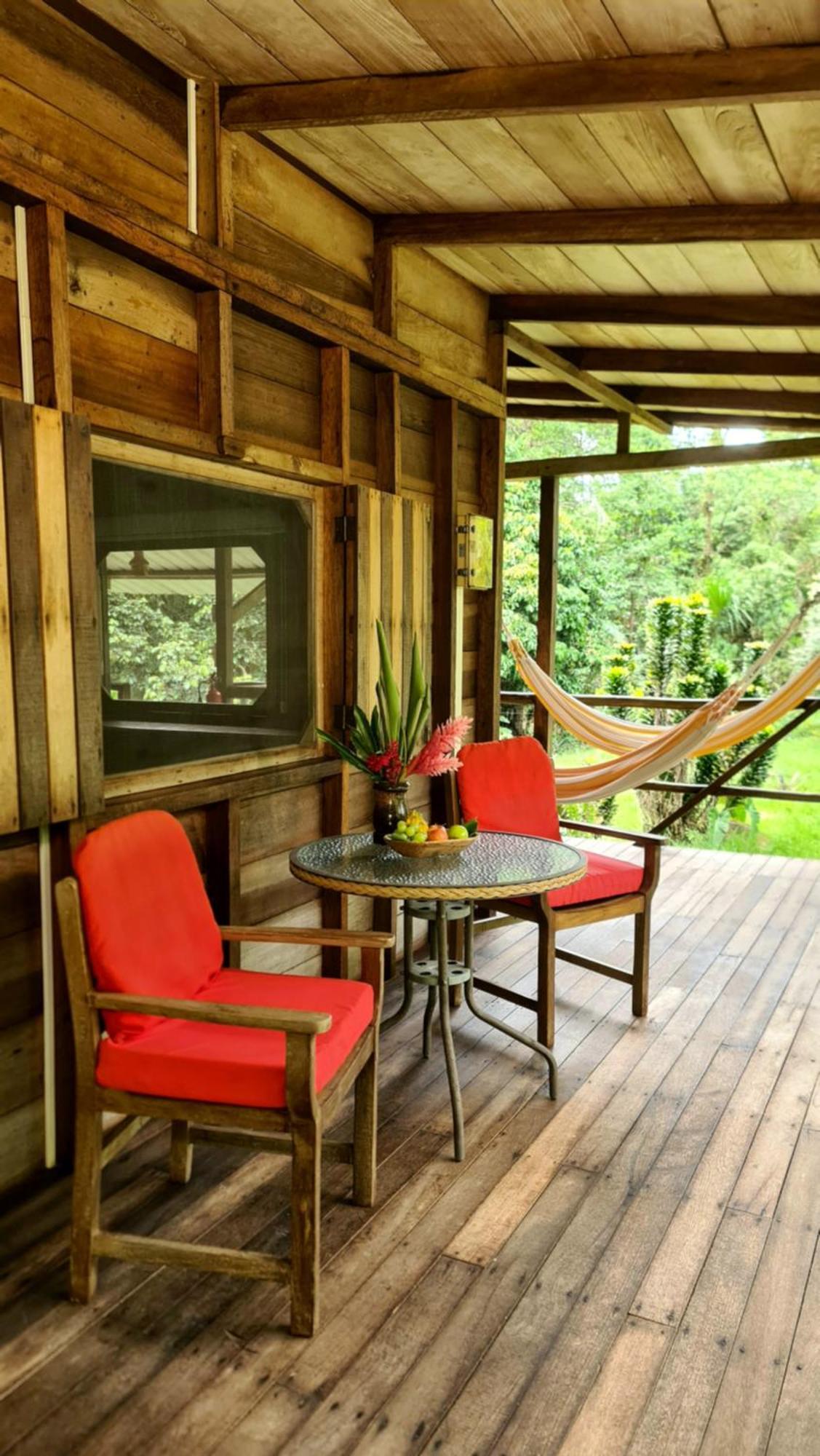Hakuna Matata Amazon Lodge Archidona Kültér fotó