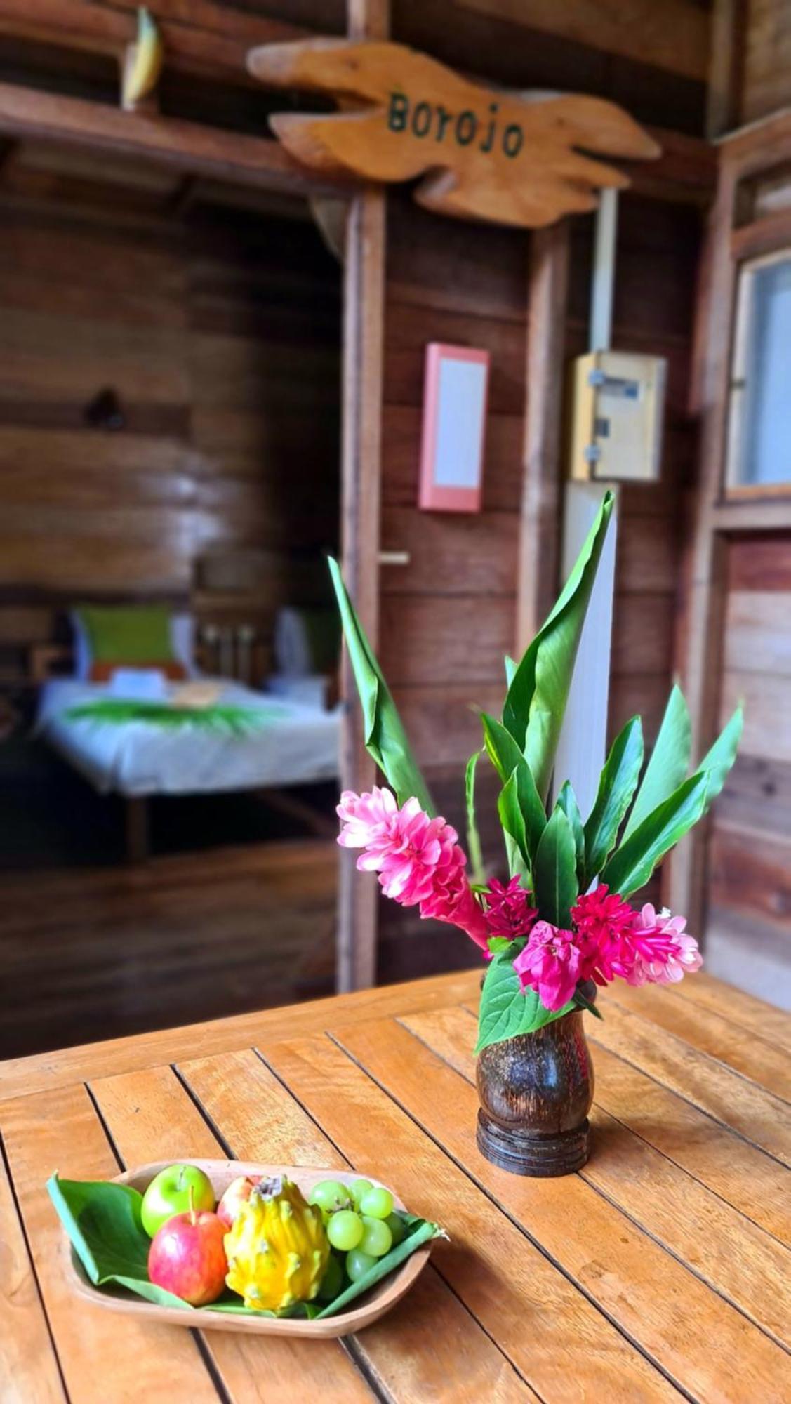 Hakuna Matata Amazon Lodge Archidona Kültér fotó