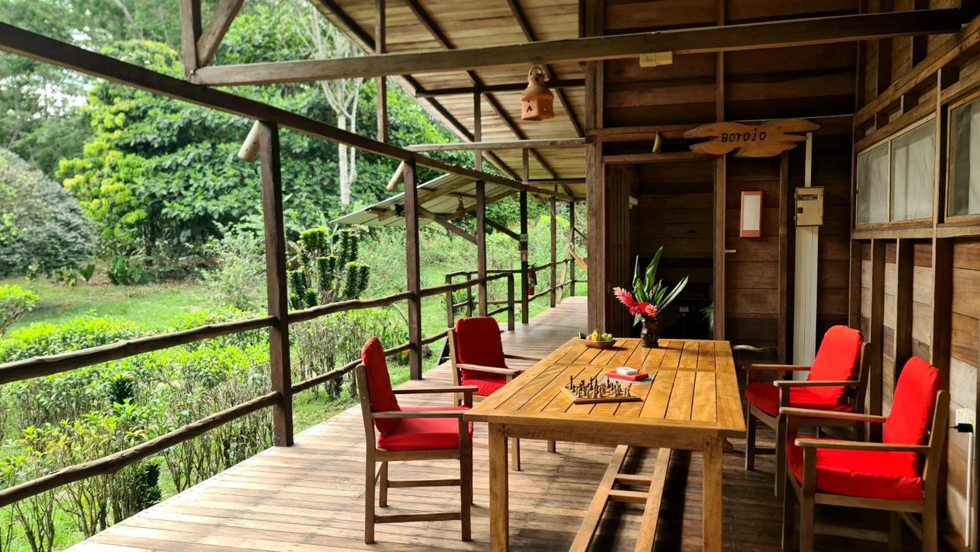 Hakuna Matata Amazon Lodge Archidona Kültér fotó