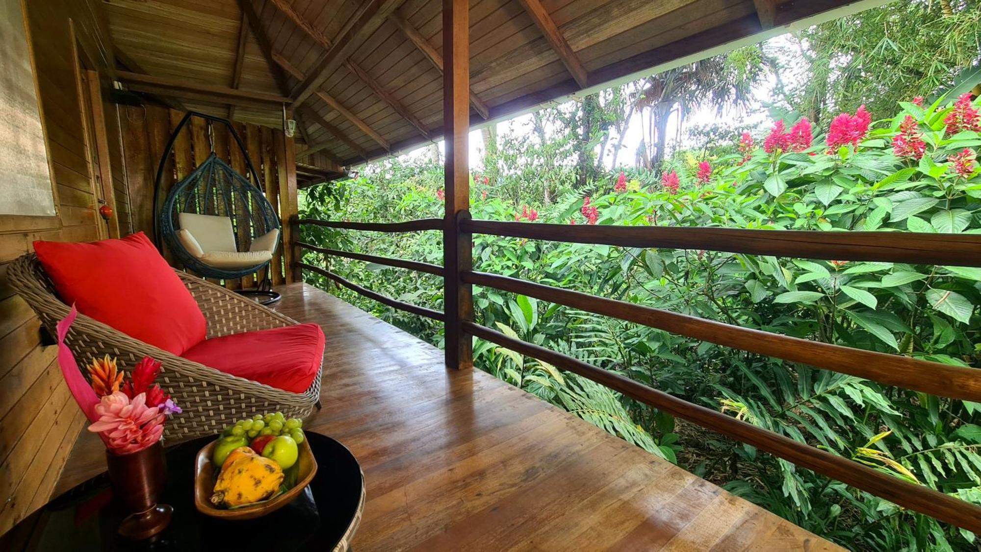 Hakuna Matata Amazon Lodge Archidona Kültér fotó